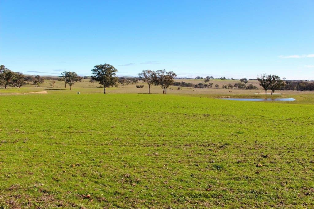 Bathurst NSW 2795, Bathurst - Thumbnail 3