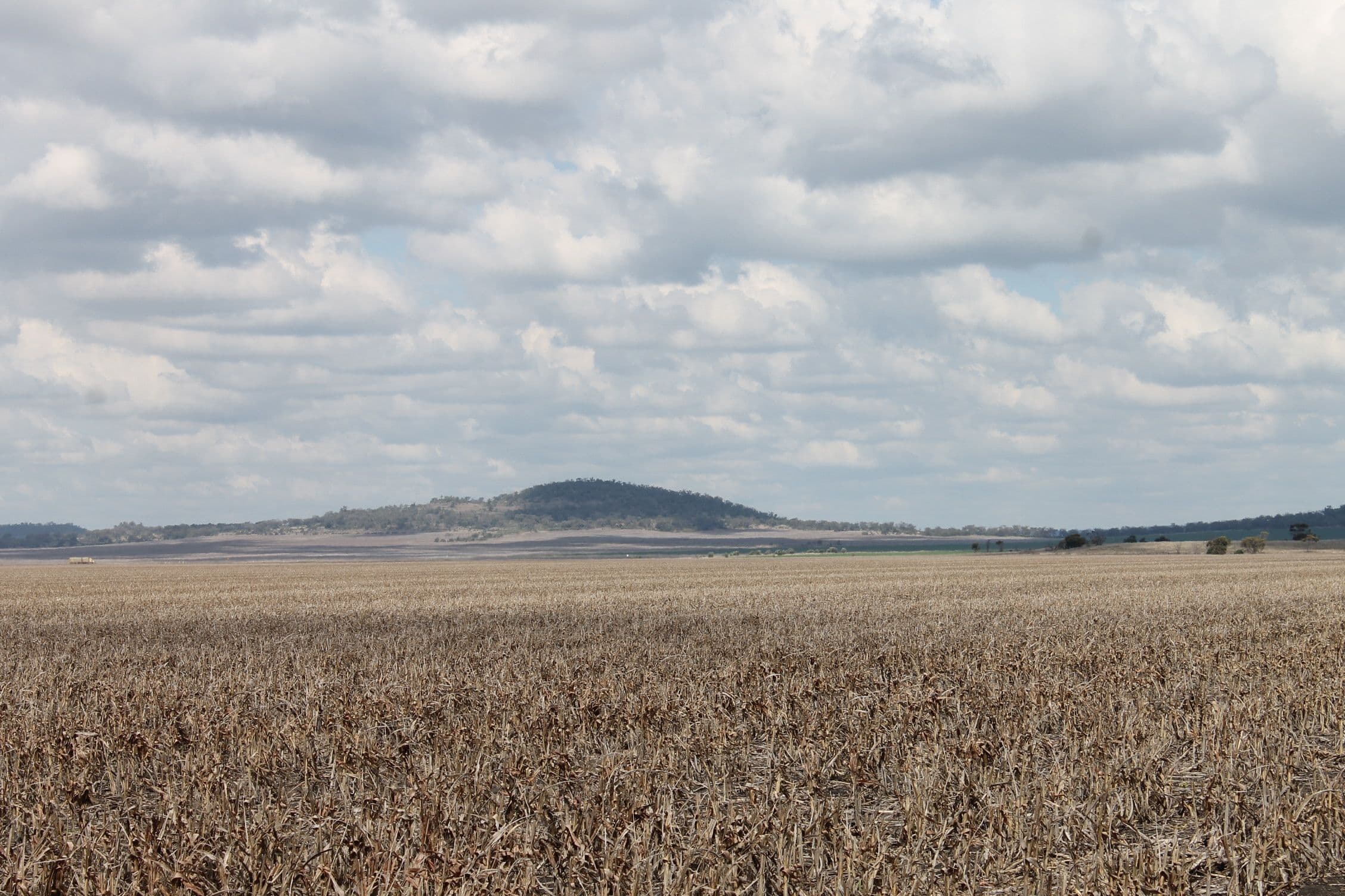 . EVANSLEA Road, Dalby QLD 4405, Dalby - Thumbnail 6