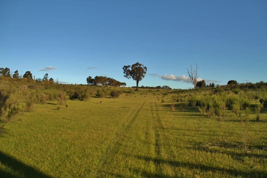 Lot 5 Long Court, Ladys Pass VIC 3523, Ladys Pass - Thumbnail 6