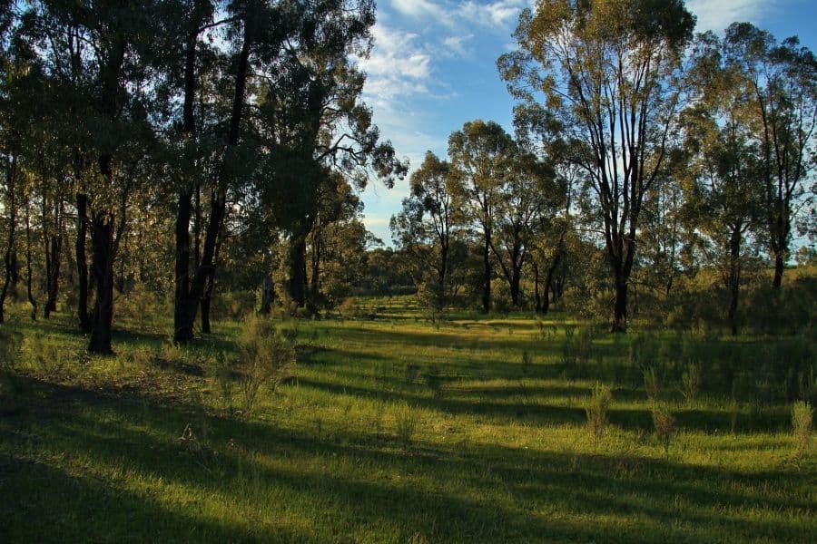 Lot 5 Long Court, Ladys Pass VIC 3523, Ladys Pass - Thumbnail 5