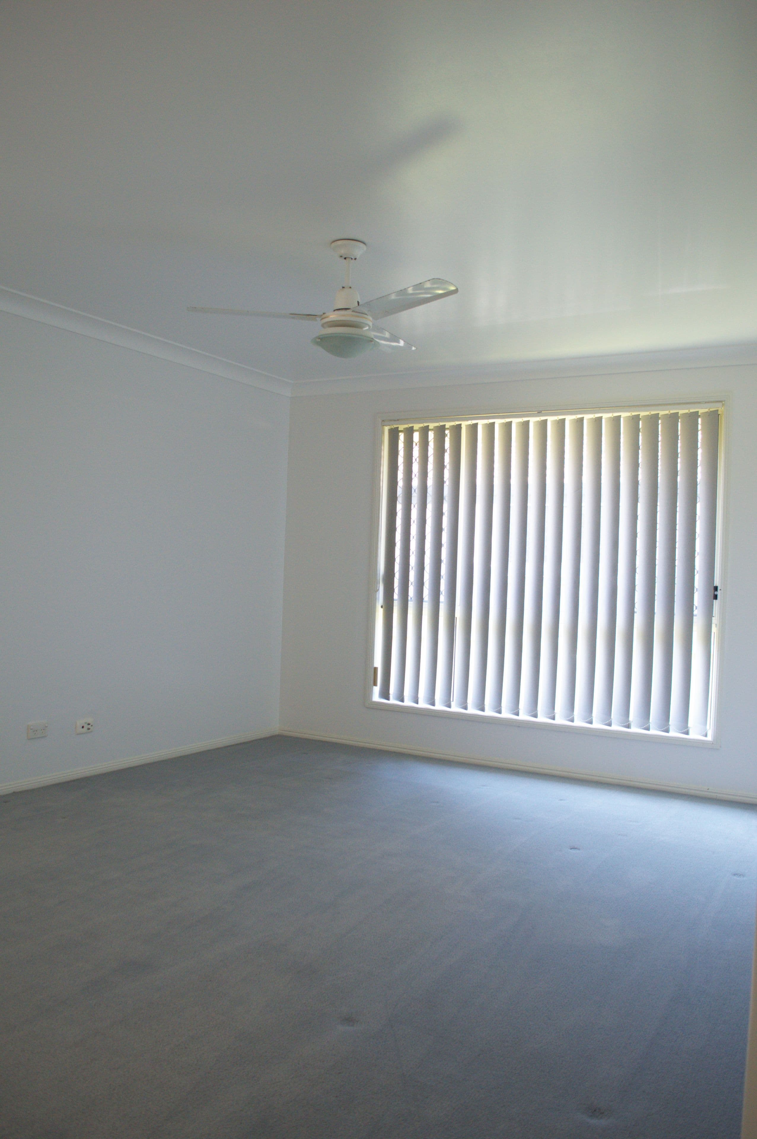 11 Friend Street, Wakerley QLD 4154, Wakerley - Thumbnail 5