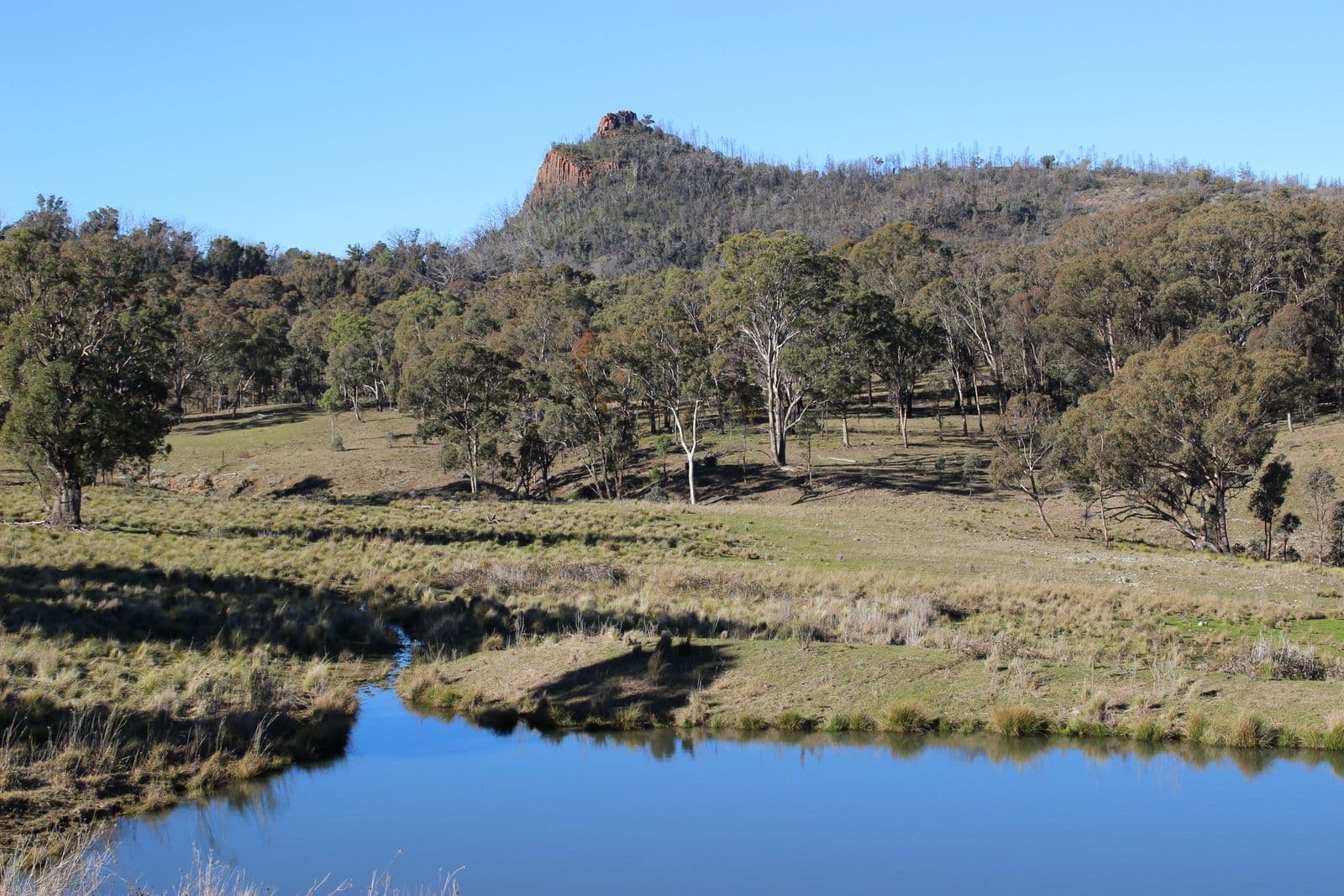 'MIRRIGUNDI' 1941 TIMOR Road, Coonabarabran NSW 2357, Coonabarabran - Image 1