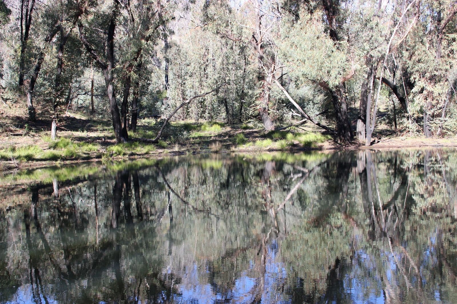 'MIRRIGUNDI' 1941 TIMOR Road, Coonabarabran NSW 2357, Coonabarabran - Thumbnail 6