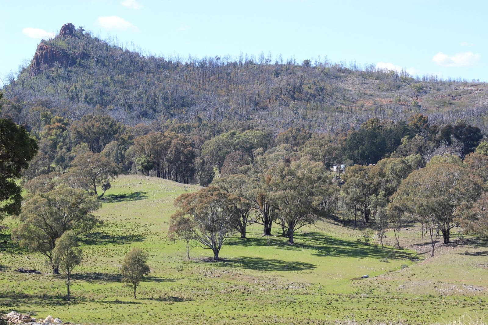 'MIRRIGUNDI' 1941 TIMOR Road, Coonabarabran NSW 2357, Coonabarabran - Thumbnail 3