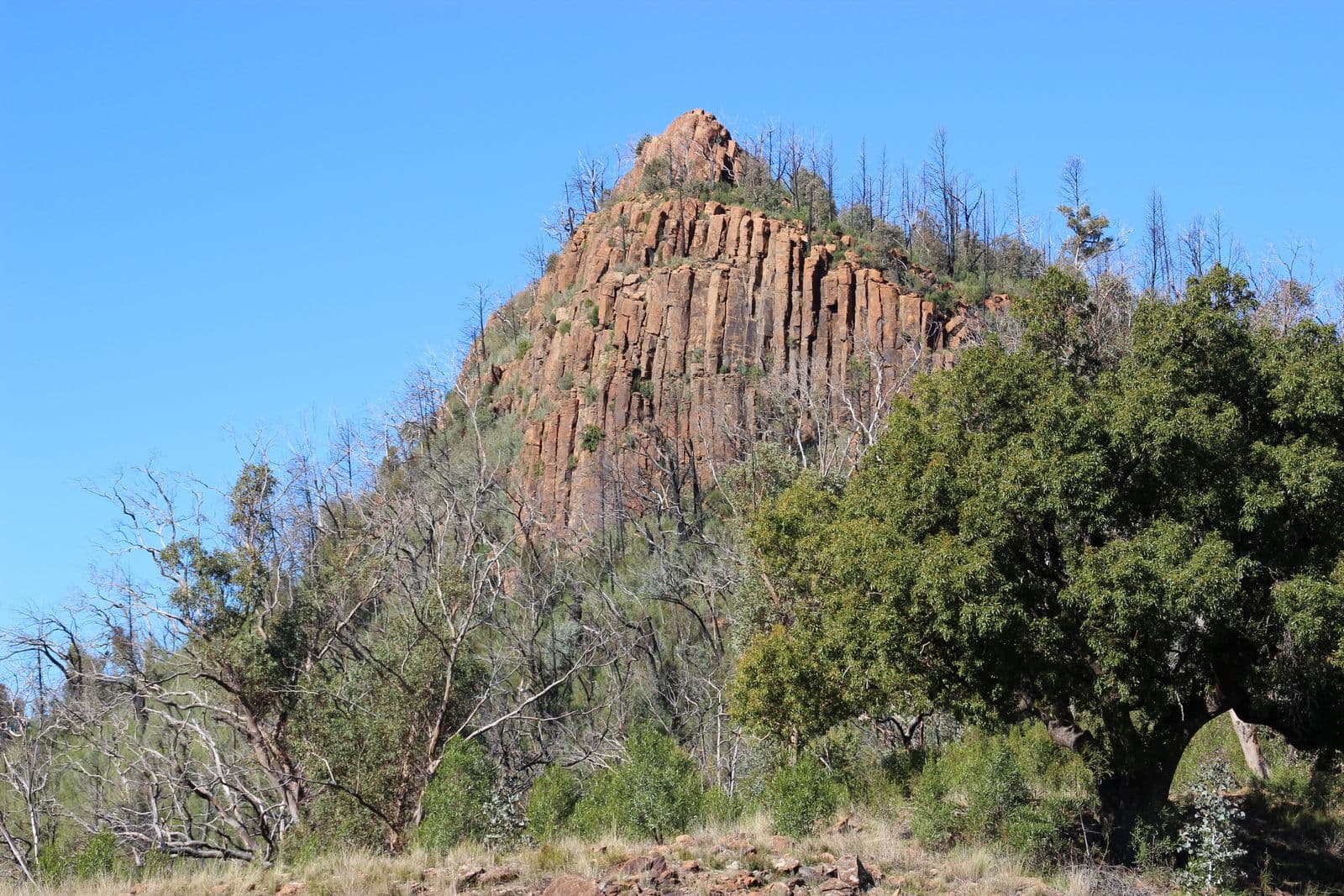 'MIRRIGUNDI' 1941 TIMOR Road, Coonabarabran NSW 2357, Coonabarabran - Thumbnail 5