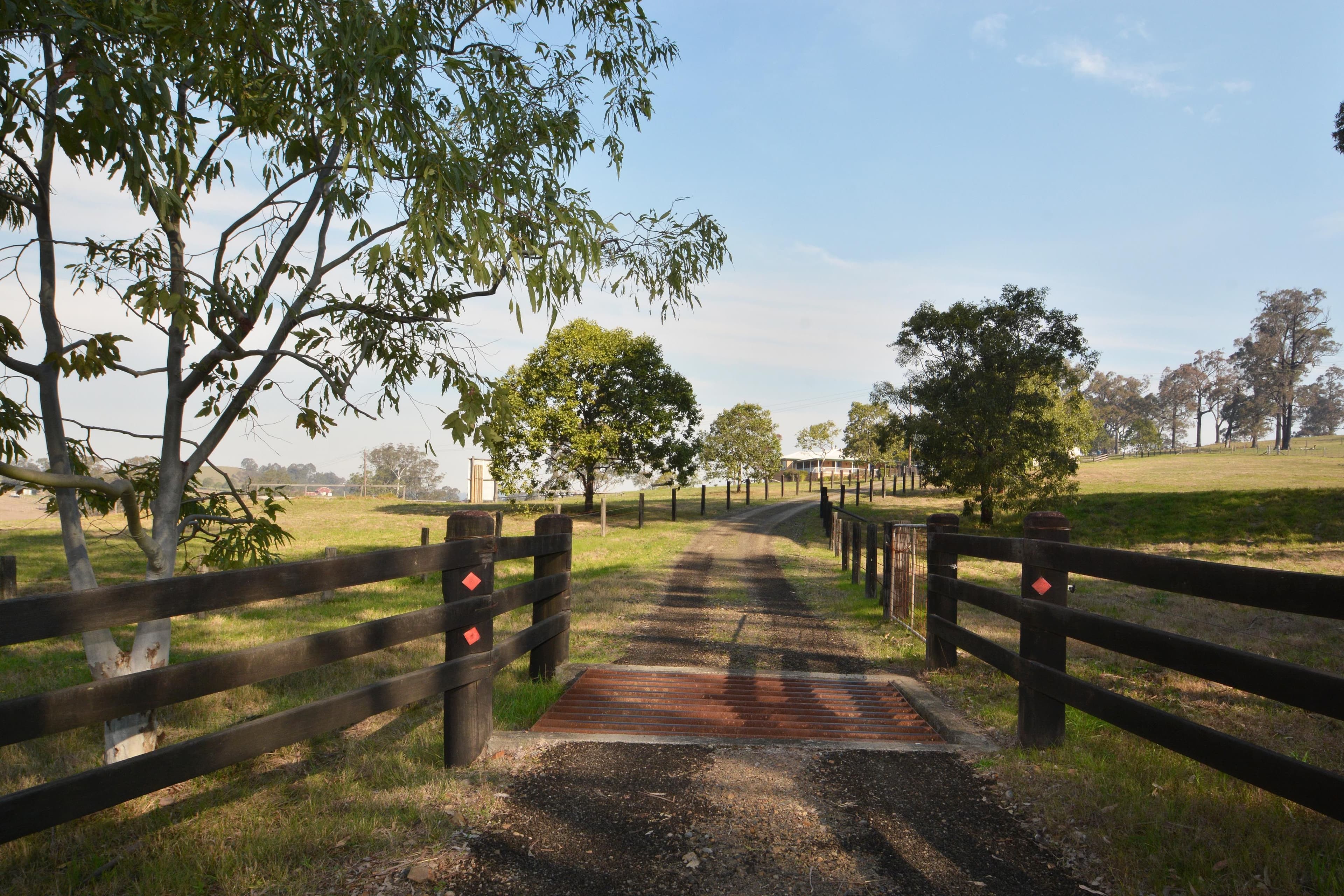 116 Marshdale Road, Dungog NSW 2420, Dungog - Thumbnail 2