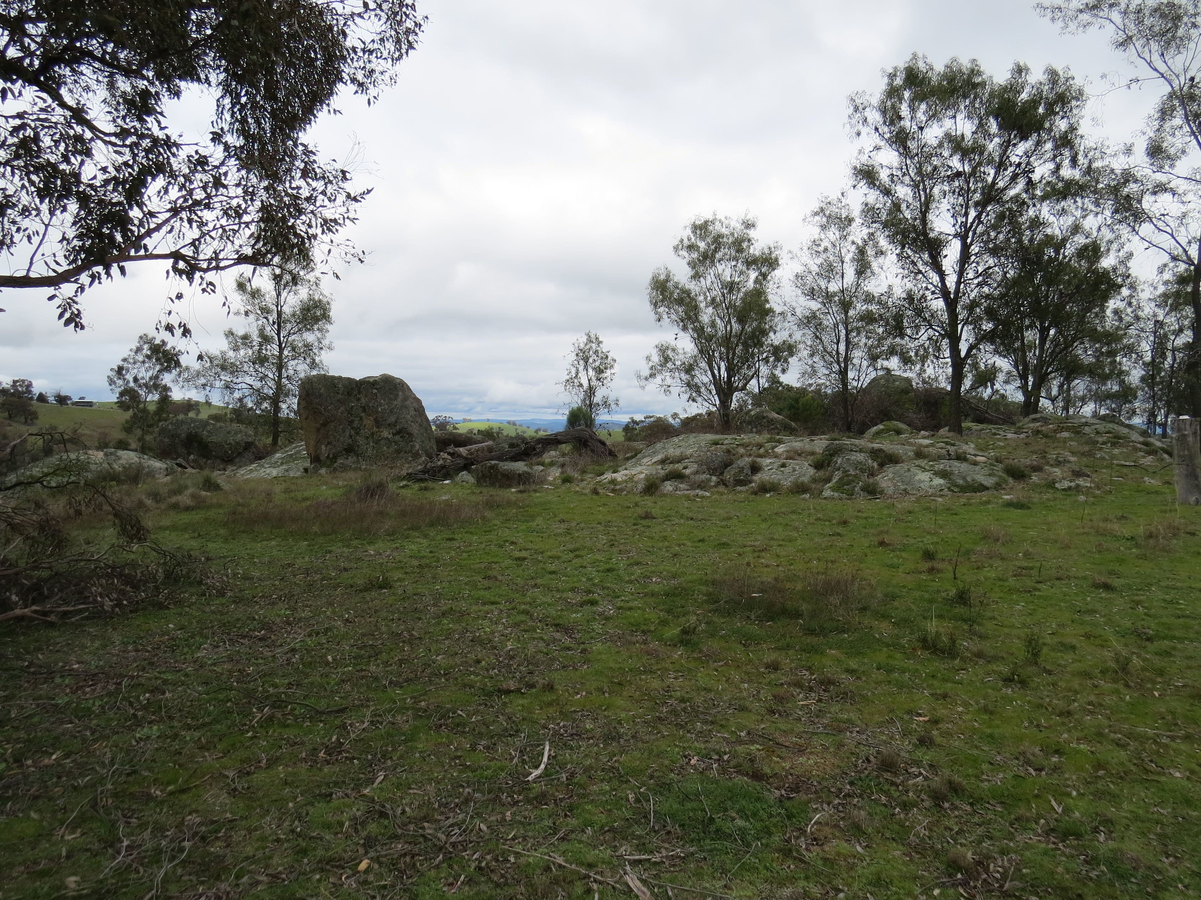  73 Rocky Pinnacle Road, Woodstock NSW 2793, Woodstock - Thumbnail 8
