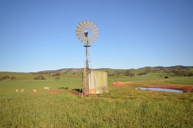 "Rex's" Worlds End Highway via, Robertstown SA 5381, Robertstown - Thumbnail 2