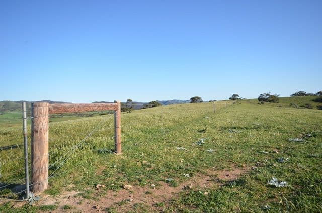 "Rex's" Worlds End Highway via, Robertstown SA 5381, Robertstown - Thumbnail 6