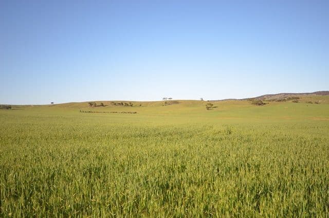 "Rex's" Worlds End Highway via, Robertstown SA 5381, Robertstown - Thumbnail 3