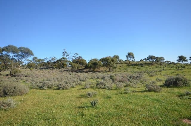 "Rex's" Worlds End Highway via, Robertstown SA 5381, Robertstown - Thumbnail 7