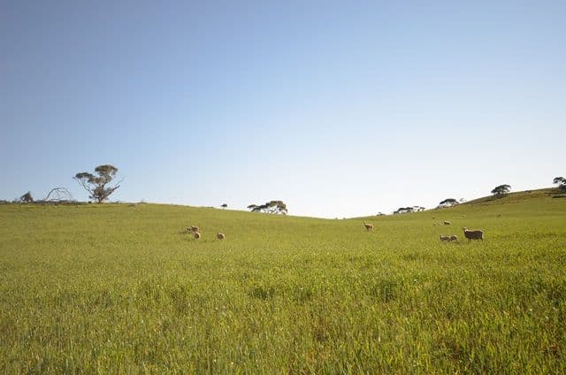 "Rex's" Worlds End Highway via, Robertstown SA 5381, Robertstown - Image 1