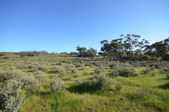 "Rex's" Worlds End Highway via, Robertstown SA 5381, Robertstown - Thumbnail 8