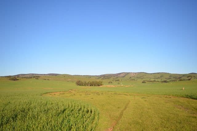 "Rex's" Worlds End Highway via, Robertstown SA 5381, Robertstown - Thumbnail 4