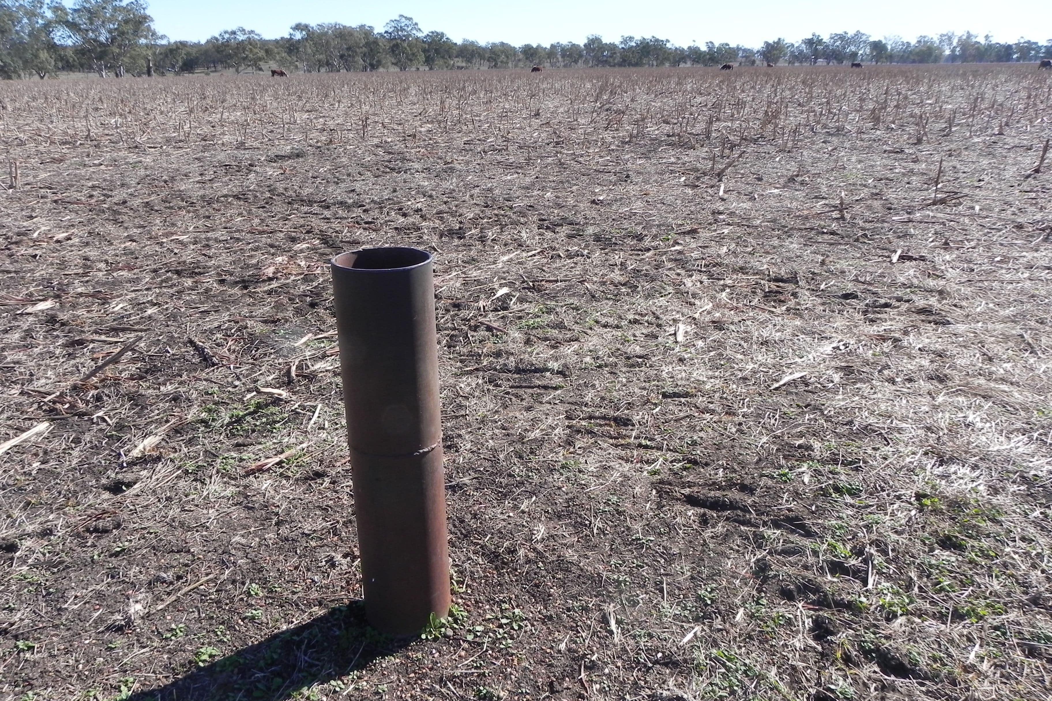 0 O'Leary, Ellangowan QLD 4361, Ellangowan - Thumbnail 6