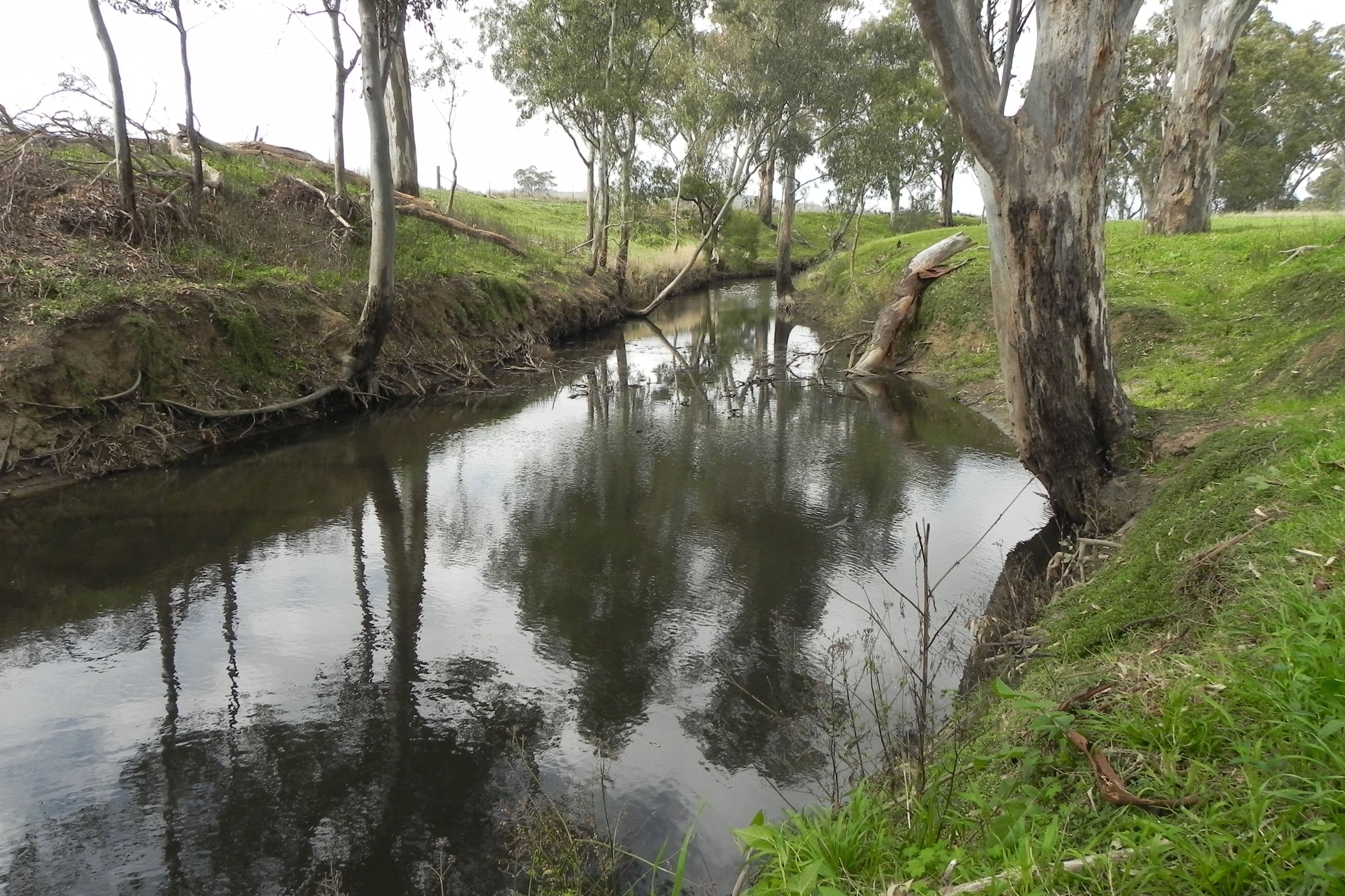 0 O'Leary, Ellangowan QLD 4361, Ellangowan - Thumbnail 2