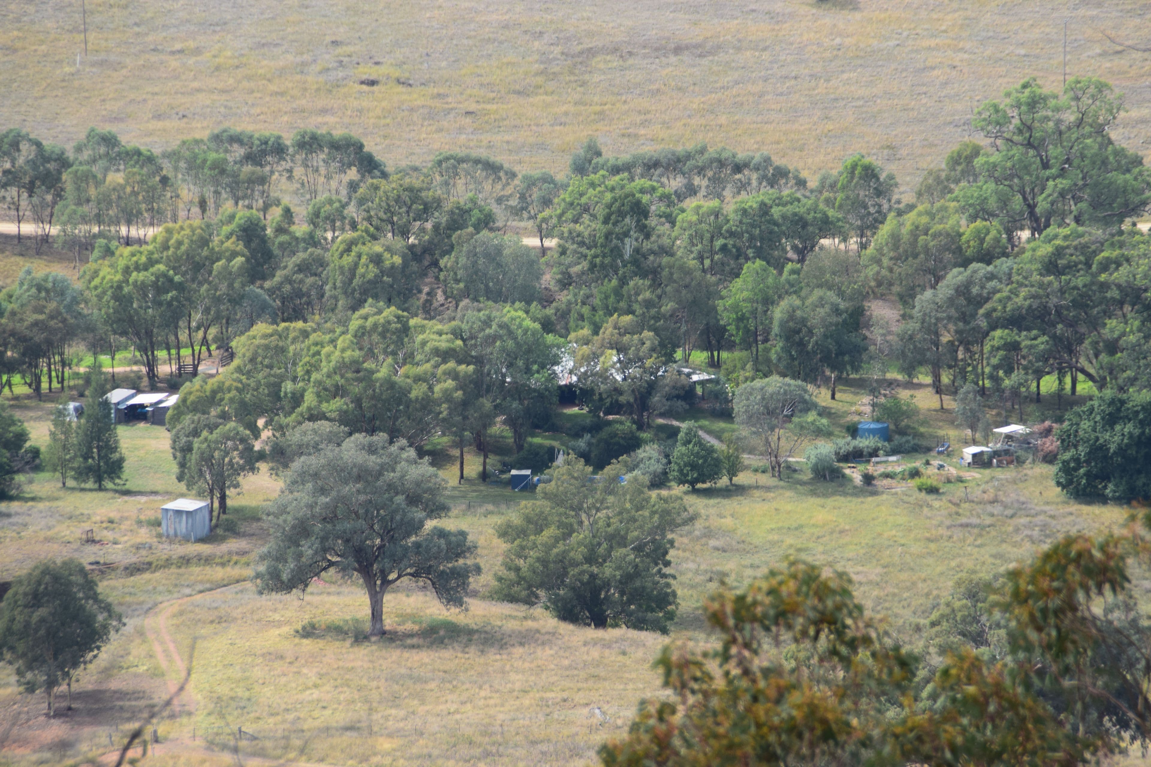 'Alma' Yarragal Road, Wellington NSW 2820, Wellington - Thumbnail 2