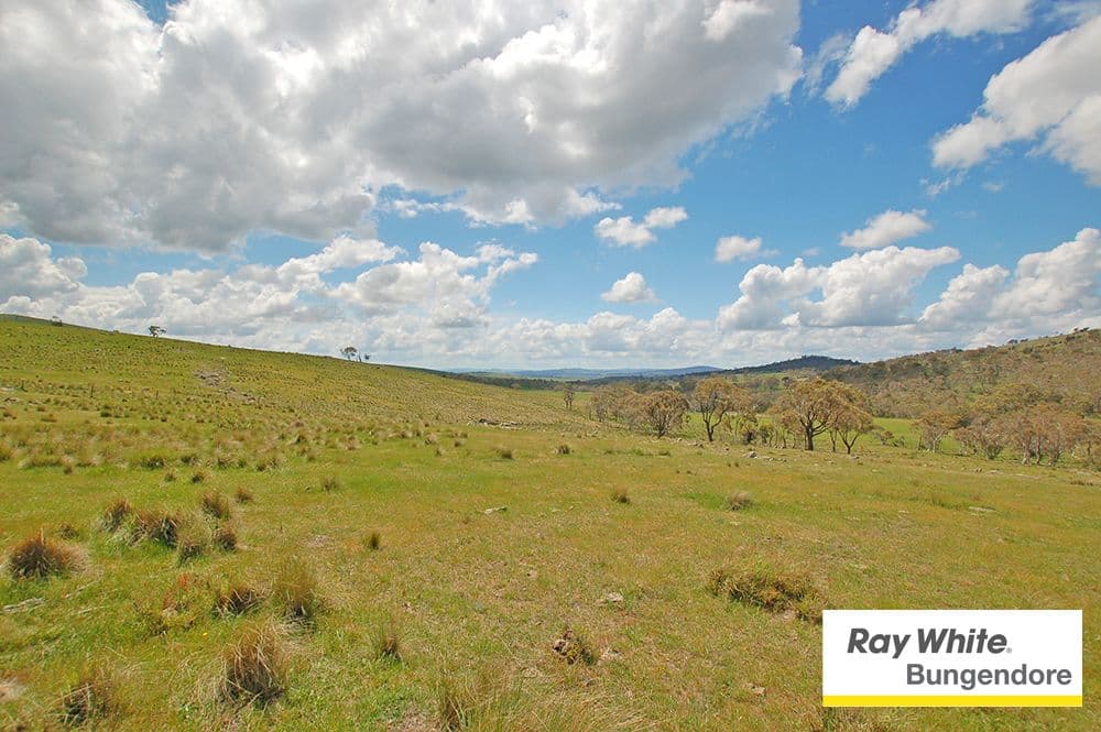 173 Butmaroo Road, Bungendore NSW 2621, Bungendore - Thumbnail 8