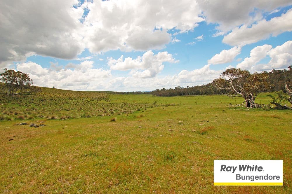 173 Butmaroo Road, Bungendore NSW 2621, Bungendore - Thumbnail 5