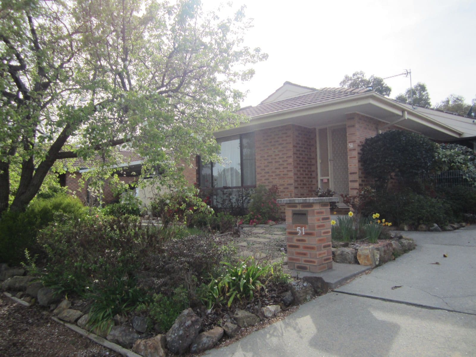 51 Wilhelmi Crescent, Banks ACT 2906, Banks - Thumbnail 2