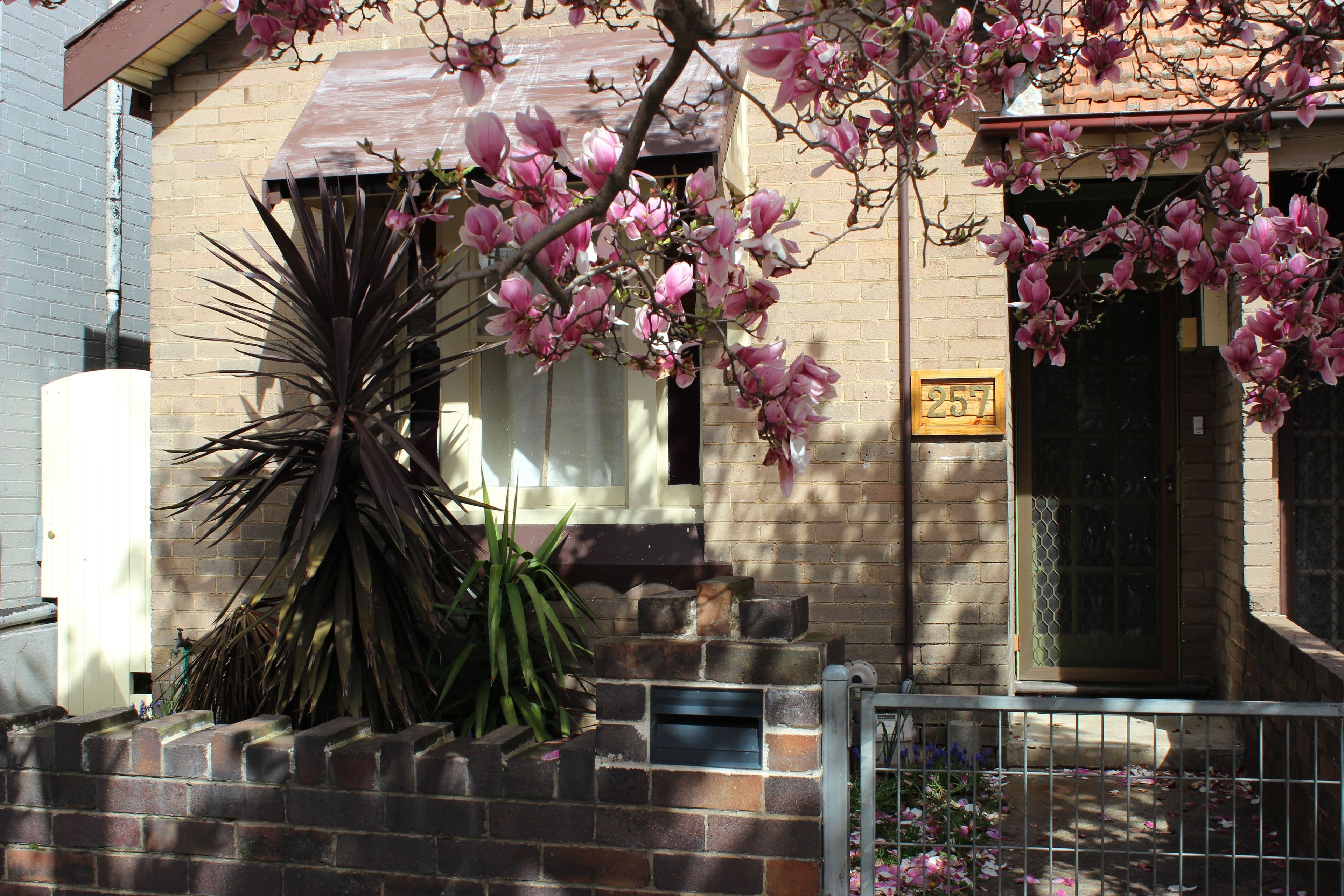 257 Main Street, Lithgow - Image 1