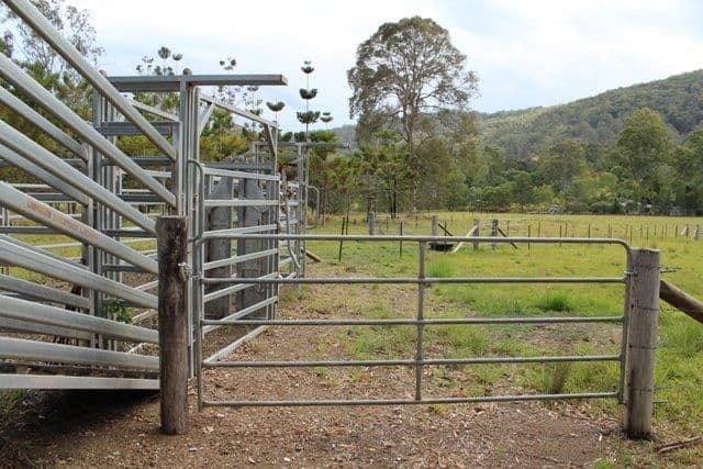 12 King Creek Road, Eerwah Vale QLD 4562, Eerwah Vale - Thumbnail 7