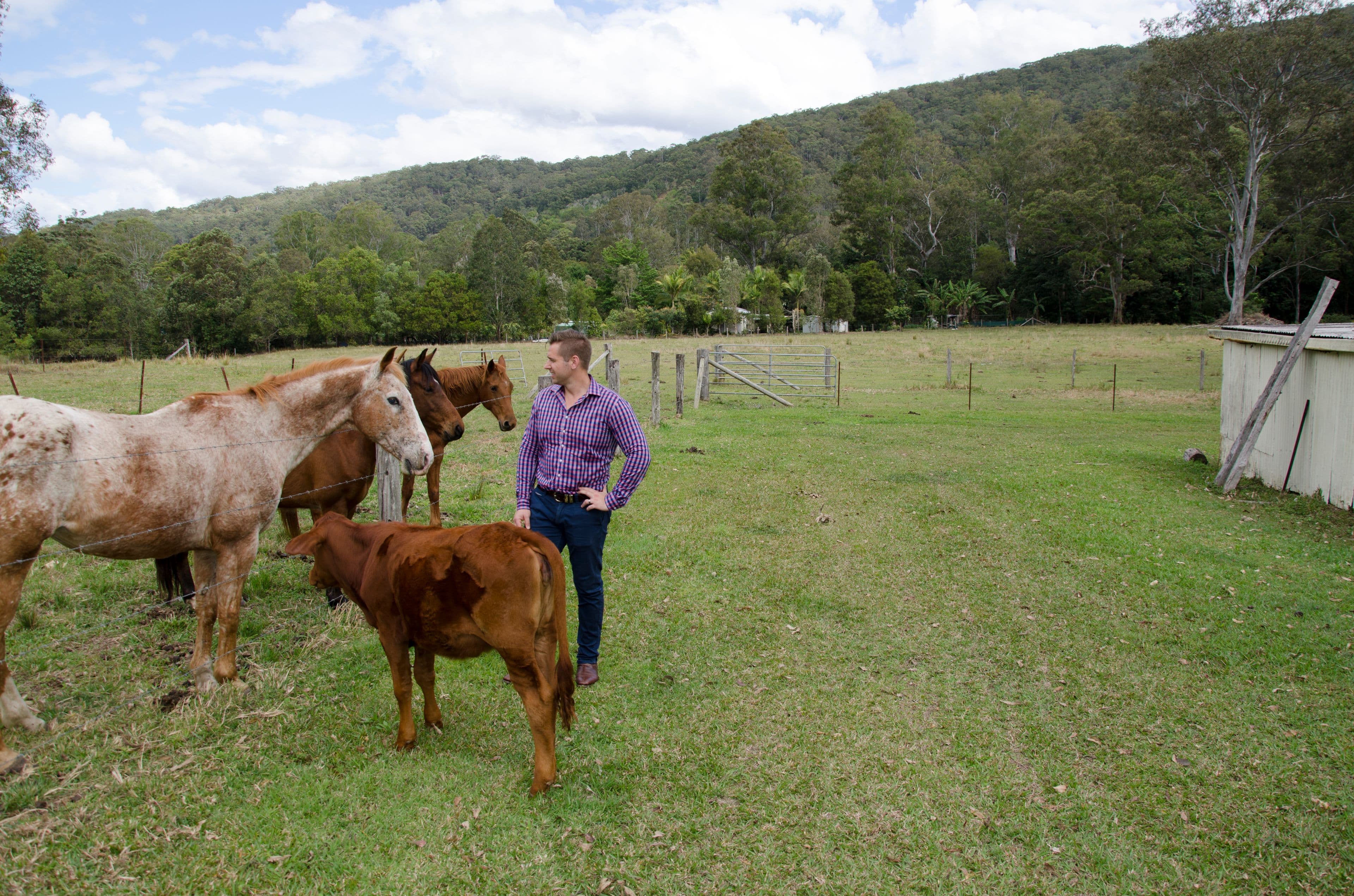 12 King Creek Road, Eerwah Vale QLD 4562, Eerwah Vale - Thumbnail 3