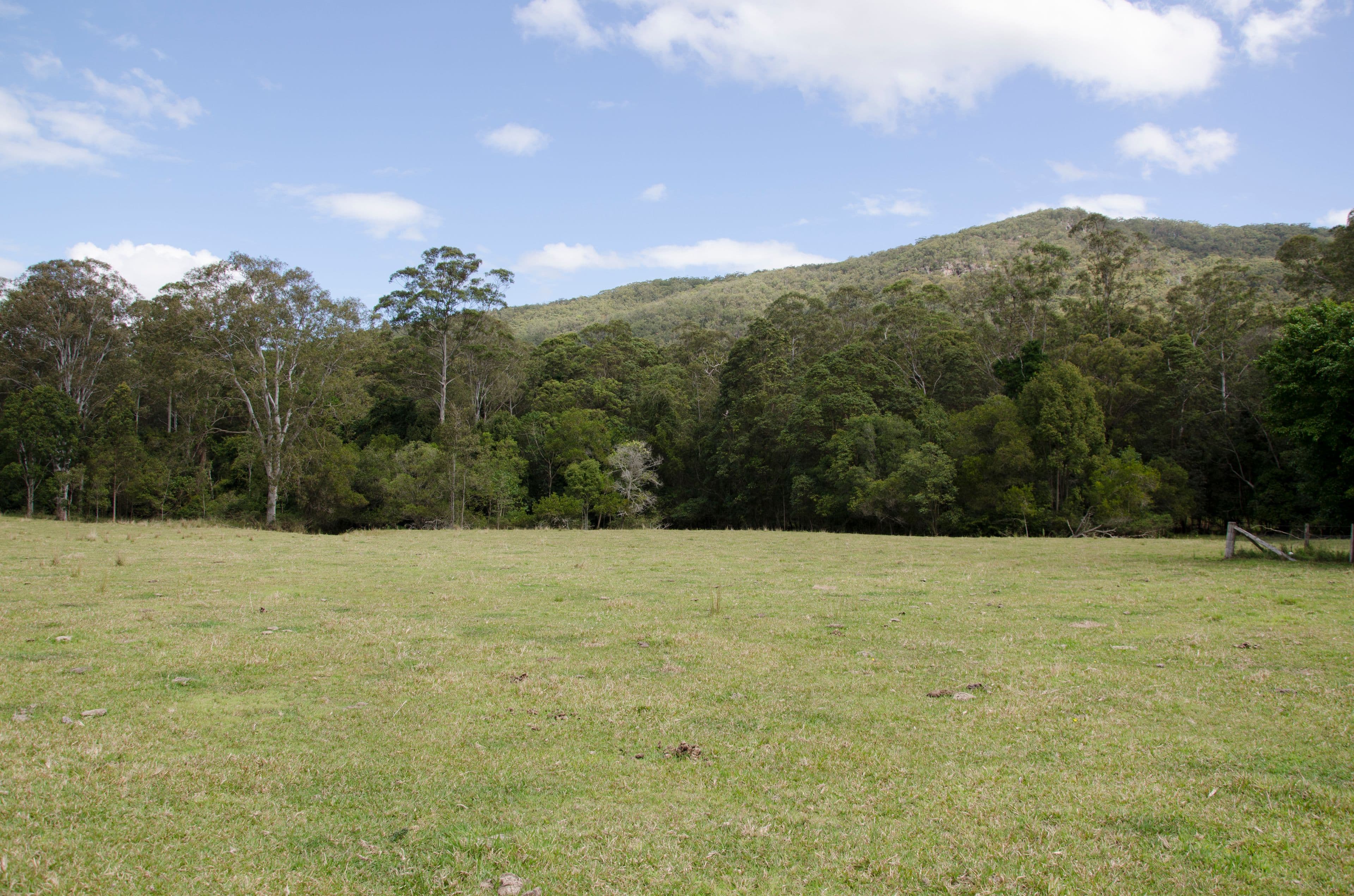 12 King Creek Road, Eerwah Vale QLD 4562, Eerwah Vale - Thumbnail 8
