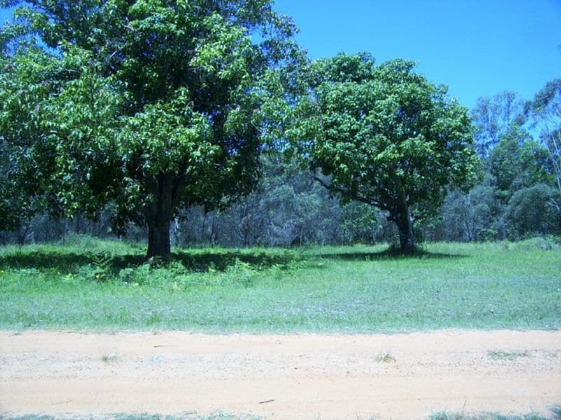 87 South End Road, Russell Island QLD 4184, Russell Island - Image 1