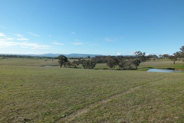 59 O'Briens Hill Road, O'Connell NSW 2795, O'Connell - Thumbnail 5