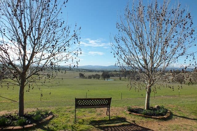 59 O'Briens Hill Road, O'Connell NSW 2795, O'Connell - Thumbnail 4
