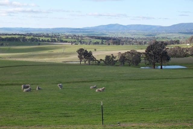 59 O'Briens Hill Road, O'Connell NSW 2795, O'Connell - Thumbnail 2