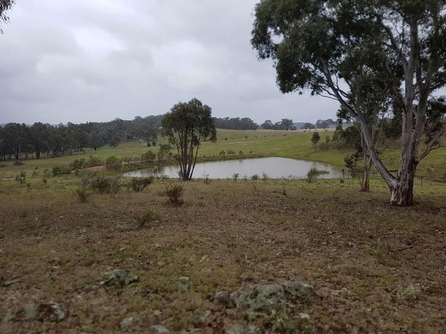 190 The Lookdown Road, Bungonia NSW 2580, Bungonia - Thumbnail 5