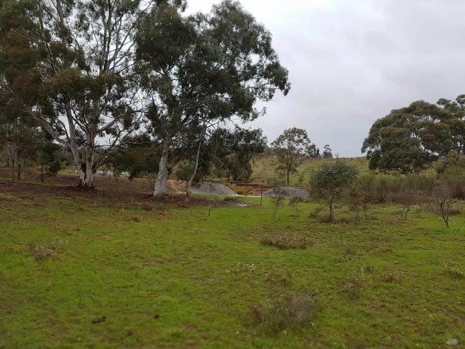 190 The Lookdown Road, Bungonia NSW 2580, Bungonia - Thumbnail 8