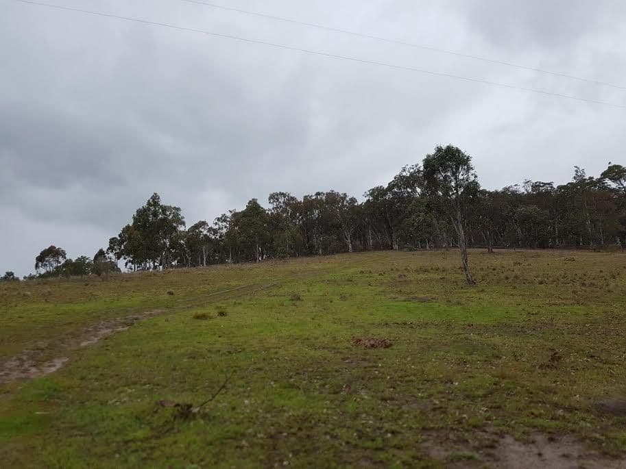 190 The Lookdown Road, Bungonia NSW 2580, Bungonia - Thumbnail 6