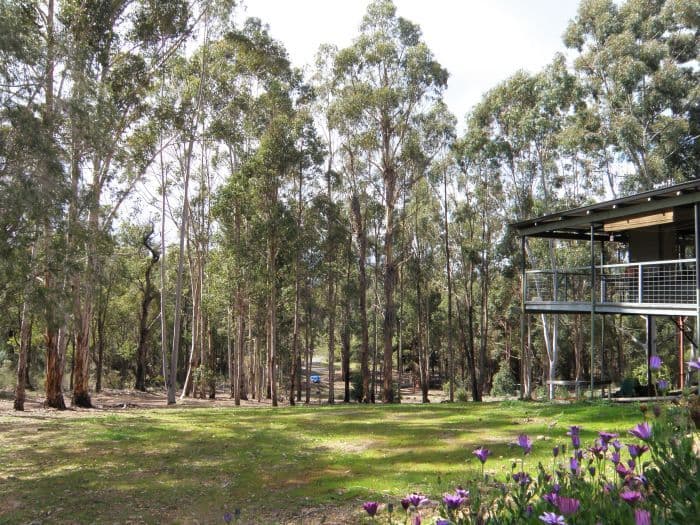 Lot 11 Denny Road, Nannup WA 6275, Nannup - Thumbnail 4