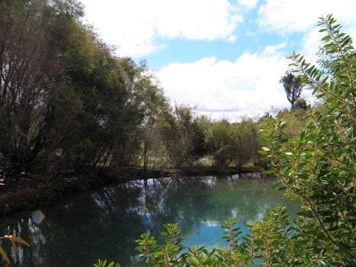 Lot 11 Denny Road, Nannup WA 6275, Nannup - Thumbnail 2