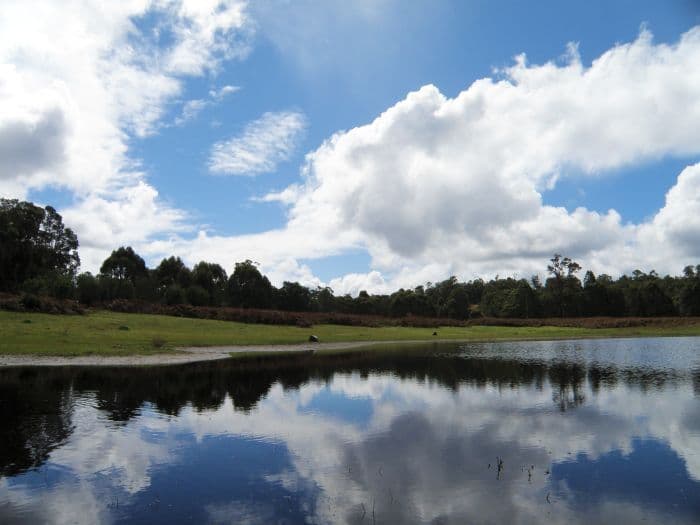 Lot 11 Denny Road, Nannup WA 6275, Nannup - Thumbnail 3