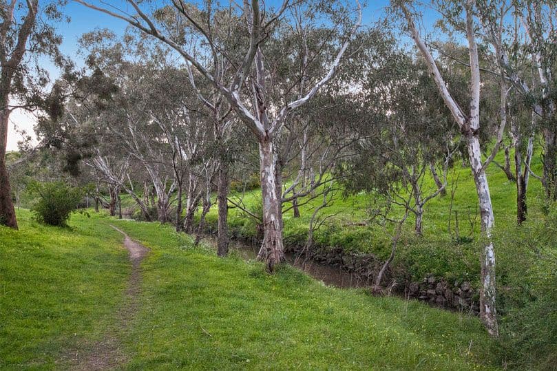 41 Arthur Street, Coburg North VIC 3058, Coburg North - Thumbnail 8