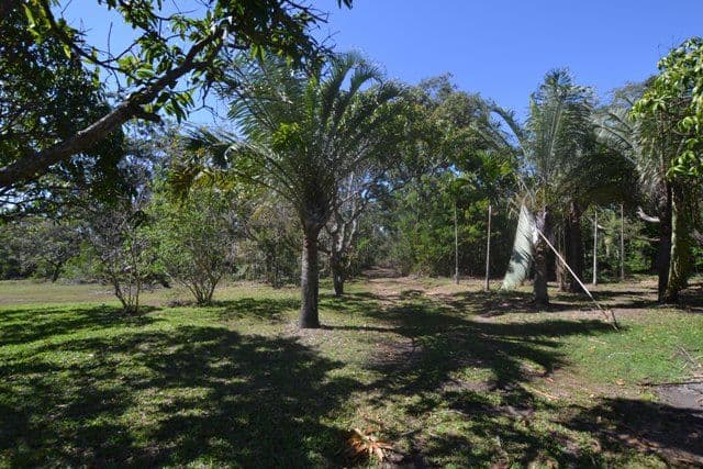 99 Barmaryee Road, Barmaryee QLD 4703, Barmaryee - Thumbnail 7