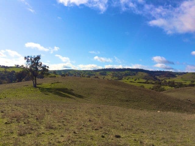 Canowindra NSW 2804, Canowindra - Thumbnail 7