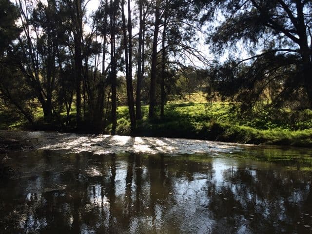 Canowindra NSW 2804, Canowindra - Thumbnail 6