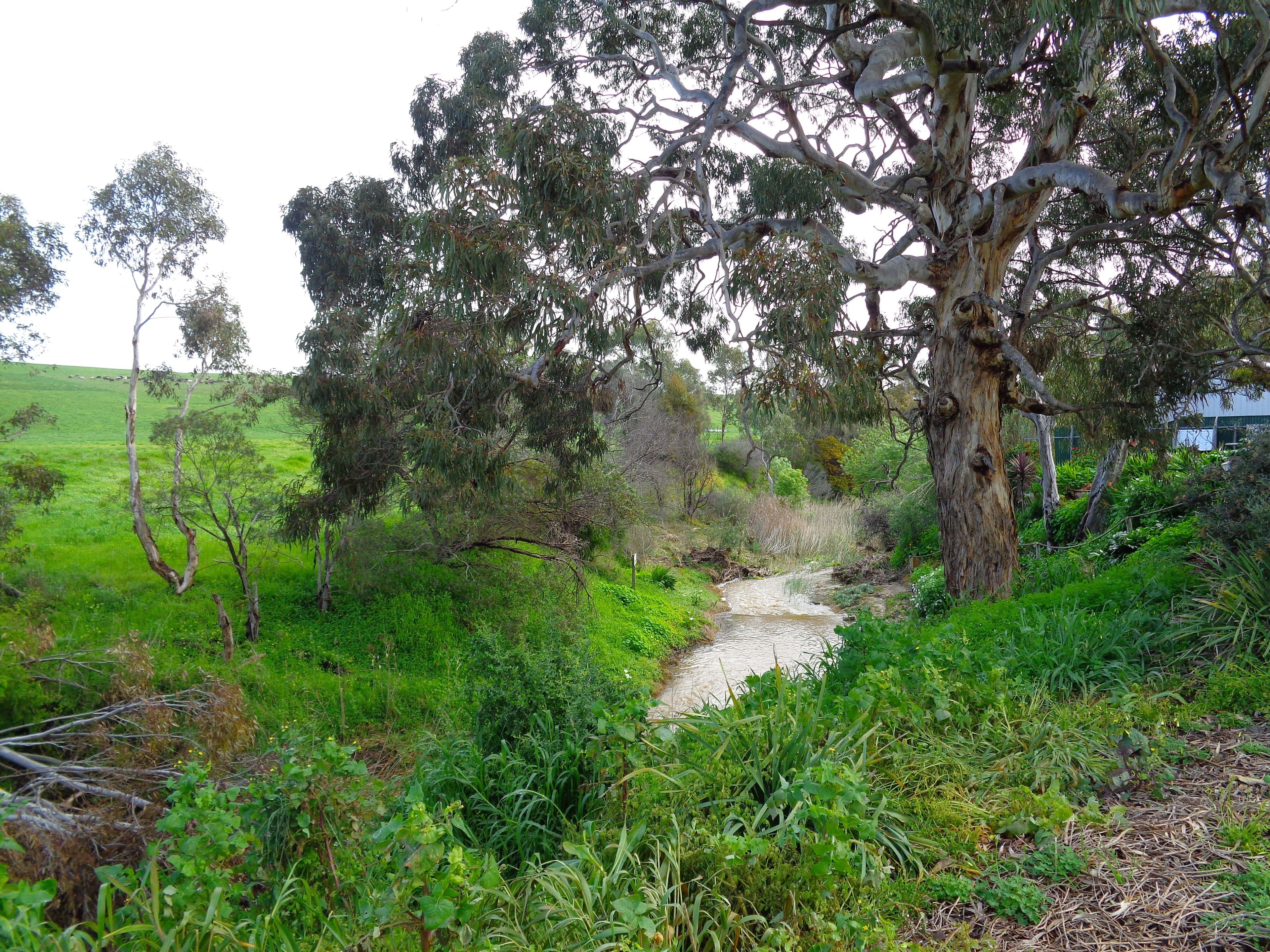 194 Main South Road, Yankalilla SA 5203, Yankalilla - Thumbnail 8