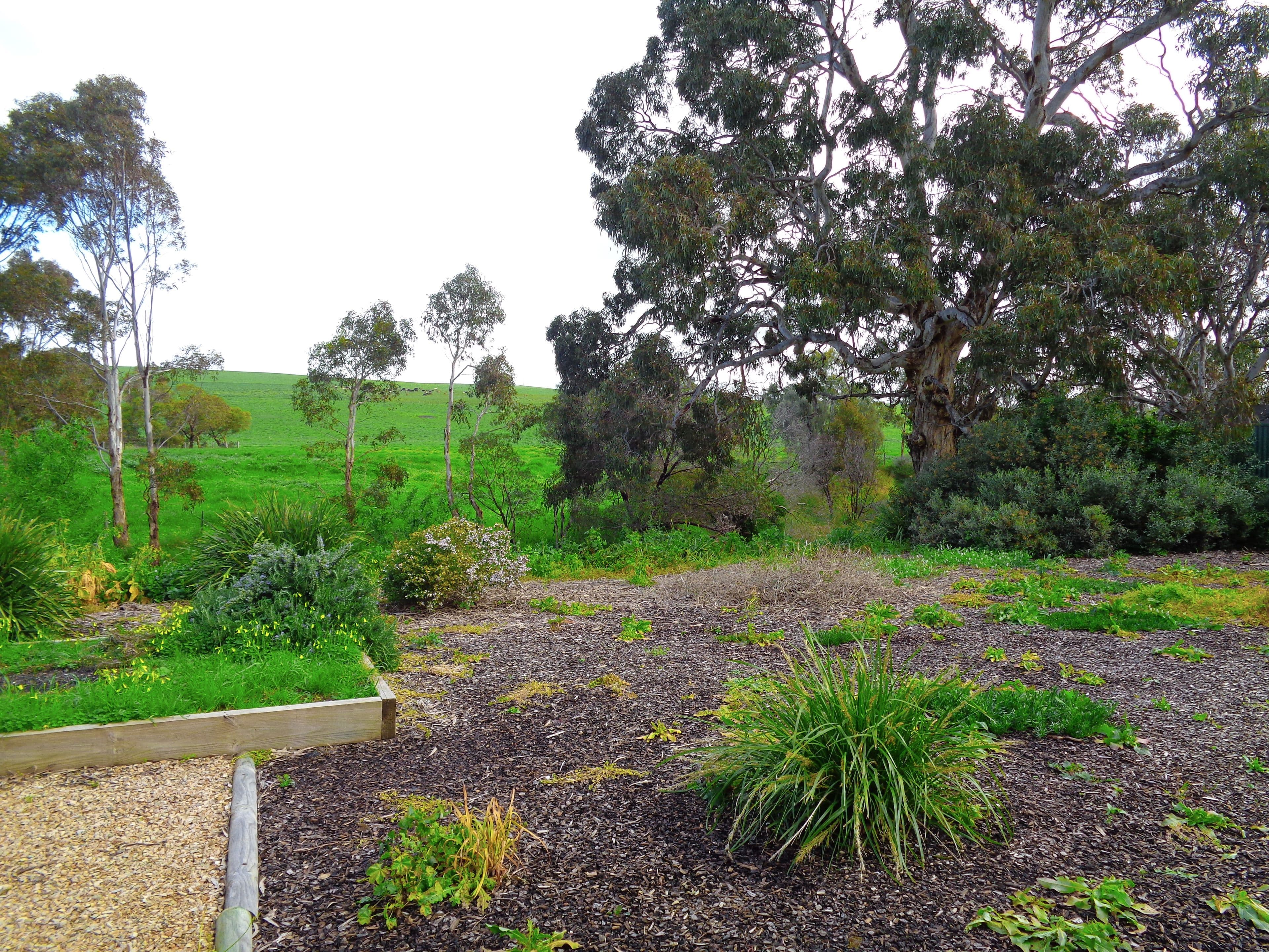 194 Main South Road, Yankalilla SA 5203, Yankalilla - Thumbnail 7