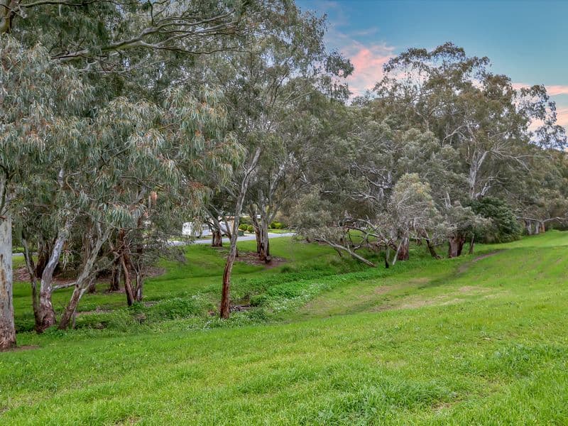 64 Greenway Drive, Surrey Downs SA 5126, Surrey Downs - Thumbnail 8