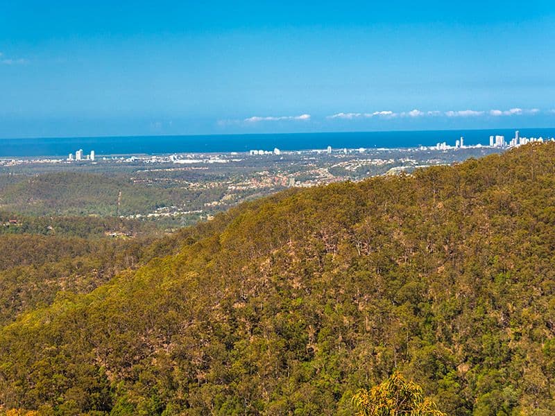 9 Kailas Court, Tamborine Mountain QLD 4272, Tamborine Mountain - Thumbnail 4