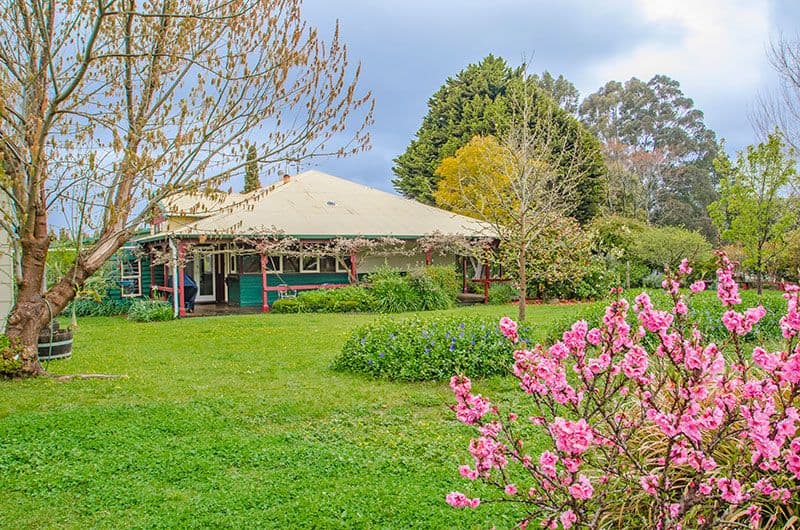 Lot 11533 Brockman Highway, Nannup WA 6275, Nannup - Image 1