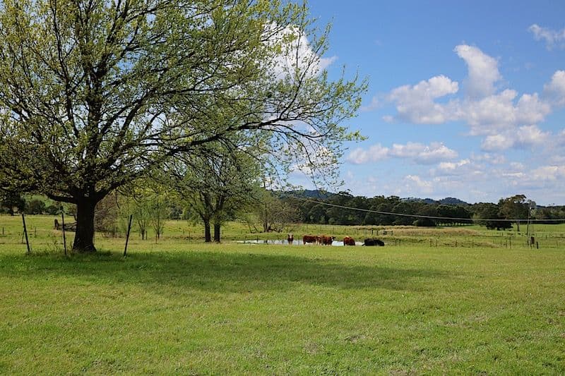 202 Bells Lane, Meroo Meadow NSW 2540, Meroo Meadow - Thumbnail 7