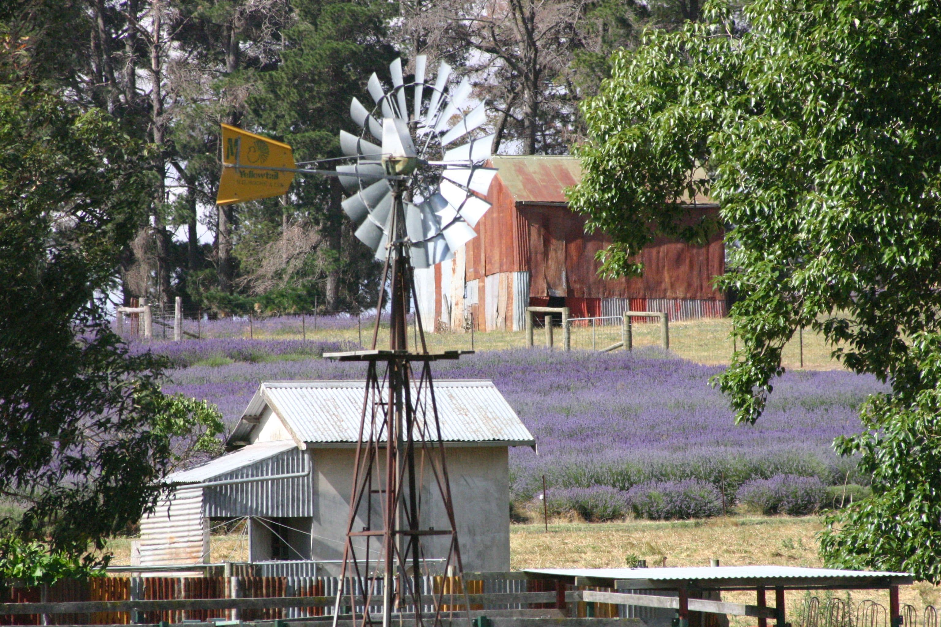 191 Nyles Gate Road, Millthorpe NSW 2798, Millthorpe - Thumbnail 2
