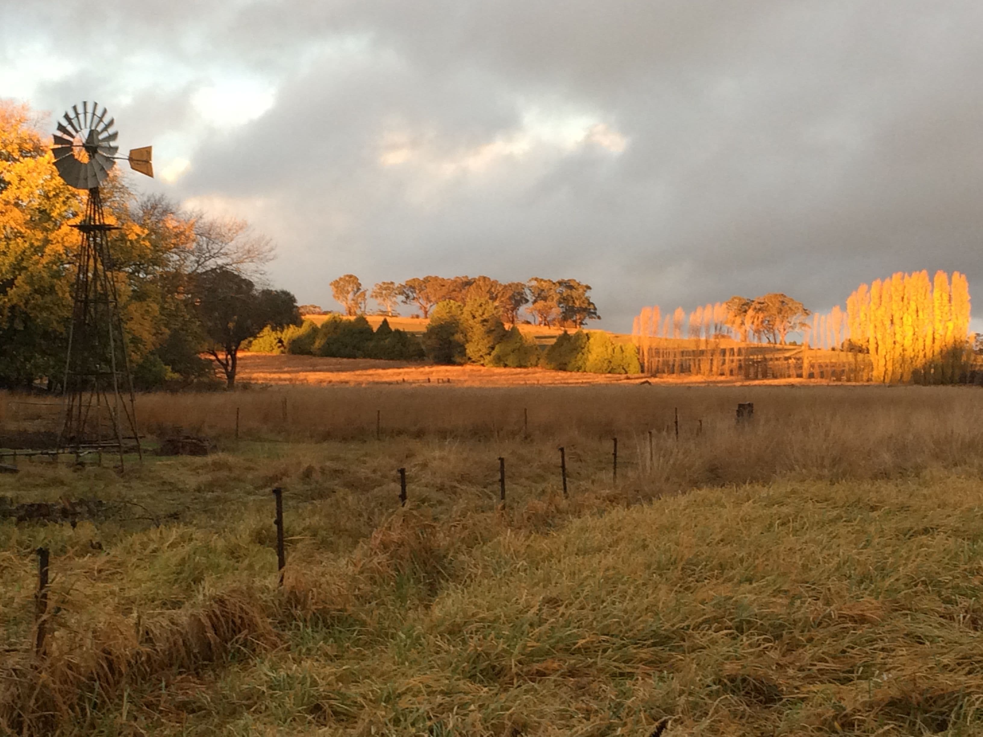 191 Nyles Gate Road, Millthorpe NSW 2798, Millthorpe - Thumbnail 7